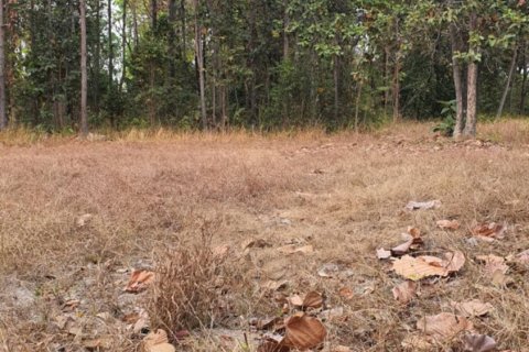 Land in Kuchinarai, Thailand 56000 sq.m. № 167315 - photo 5