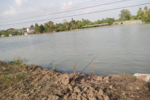 Land in Samut Songkhram, Thailand 6840 sq.m. № 169051 - photo 4