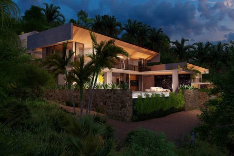 Villa à Koh Pha Ngan, Thaïlande 3 chambres № 166088