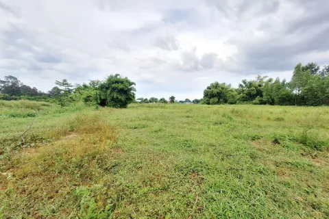 Terrain à Khon Kaen, Thaïlande 19200 m2 № 163486 - photo 5