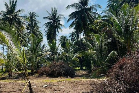 Land in Ko Samui, Thailand 4216 sq.m. № 151323 - photo 2