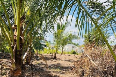 Land in Ko Samui, Thailand 4216 sq.m. № 151323 - photo 4