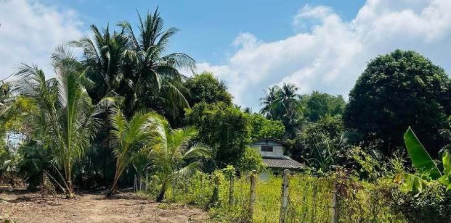 Land in Ko Samui, Thailand 4216 sq.m. № 151323