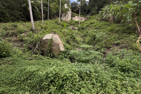 Land in Ko Samui, Thailand 1557 sq.m. № 151325 - photo 6