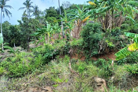 Terrain à Ko Samui, Thaïlande 1557 m2 № 151325 - photo 4