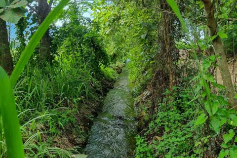 Земельный участок в Чиангмае, Таиланд № 122845 - фото 6