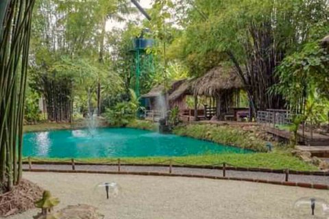 Commercial property in Chiang Mai, Thailand 1000 sq.m. № 122846 - photo 7