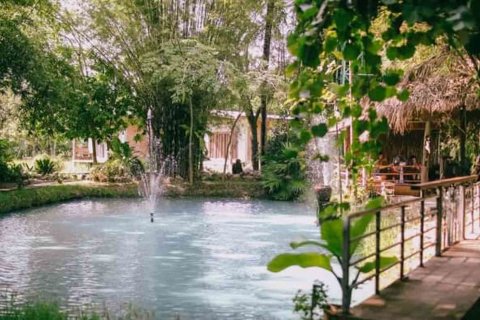 Propriété commerciale à Chiang Mai, Thaïlande 1000 m2 № 122846 - photo 5