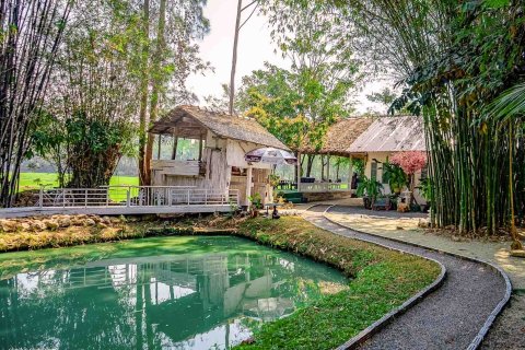 Commercial property in Chiang Mai, Thailand 1000 sq.m. № 122846 - photo 6