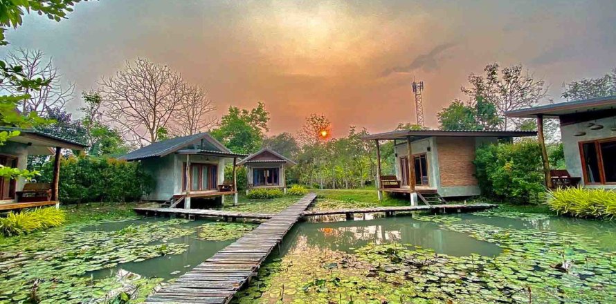 Propriété commerciale à Chiang Mai, Thaïlande 1000 m2 № 122846