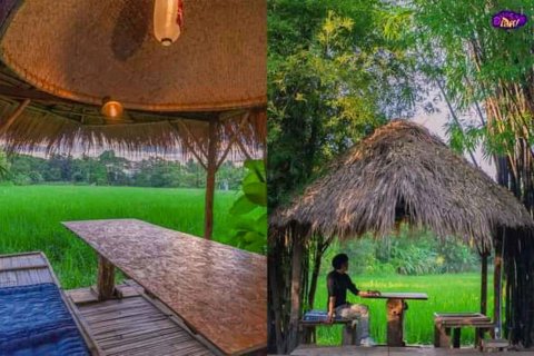 Коммерческая недвижимость в Чиангмае, Таиланд 1000м2 № 122846 - фото 23