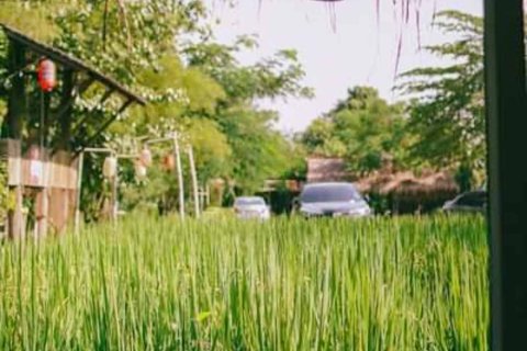 Commercial property in Chiang Mai, Thailand 1000 sq.m. № 122846 - photo 21