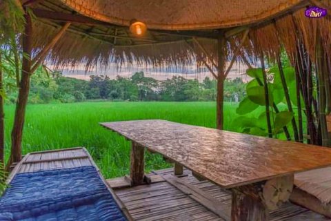 Propriété commerciale à Chiang Mai, Thaïlande 1000 m2 № 122846 - photo 20