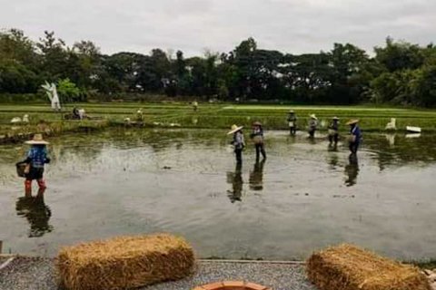 Propriété commerciale à Chiang Mai, Thaïlande 1000 m2 № 122846 - photo 24