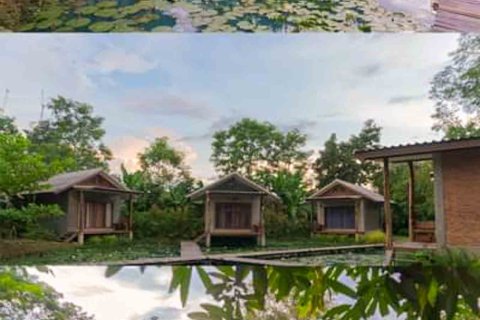 Commercial property in Chiang Mai, Thailand 1000 sq.m. № 122846 - photo 2