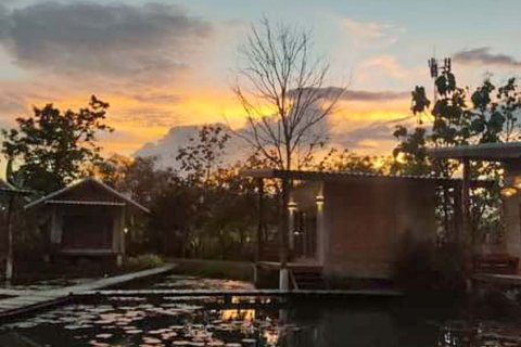 Propriété commerciale à Chiang Mai, Thaïlande 1000 m2 № 122846 - photo 9