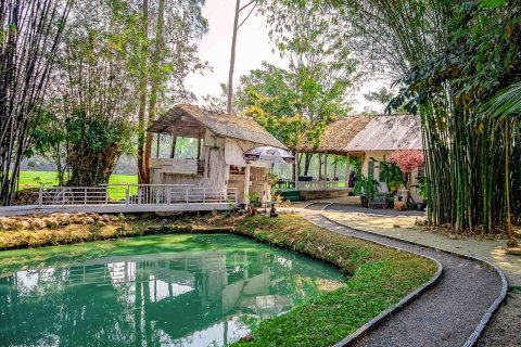 Propriété commerciale à Chiang Mai, Thaïlande 1000 m2 № 122846 - photo 6