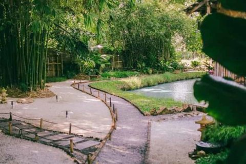 Commercial property in Chiang Mai, Thailand 1000 sq.m. № 122846 - photo 3