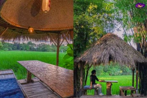 Коммерческая недвижимость в Чиангмае, Таиланд 1000м2  № 122846 - фото 23