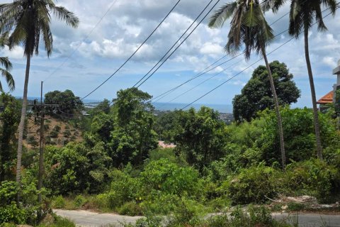 Land in Ko Samui, Thailand 1600 sq.m. № 159098 - photo 4