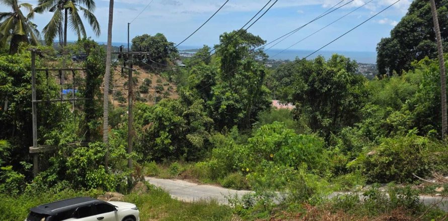 Land in Ko Samui, Thailand 1600 sq.m. № 159098