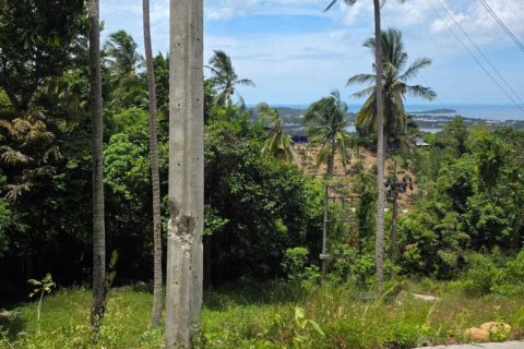 Land in Ko Samui, Thailand 1600 sq.m. № 159098 - photo 3