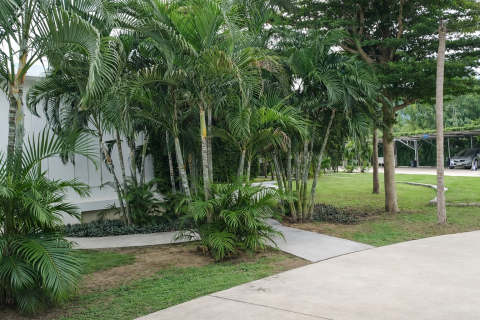 Студия в кондо в Хуа Хине, Таиланд № 159094 - фото 13