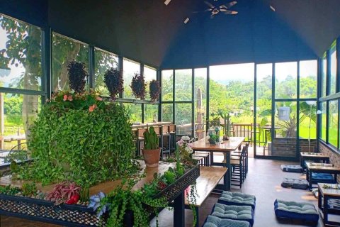 Коммерческая недвижимость в Чиангмае, Таиланд 900м2  № 162807 - фото 23