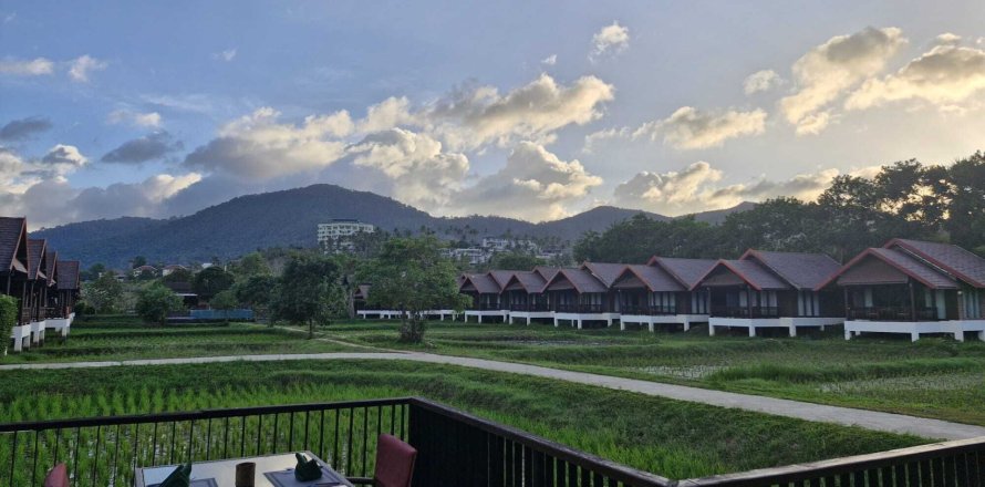 Hôtel à Ko Samui, Thaïlande № 164102