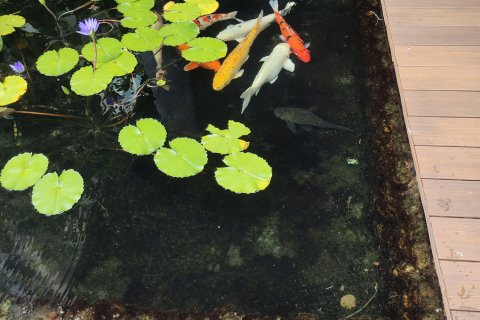 Студия в кондо в Ратчатхеви, Бангкок, Таиланд № 154984 - фото 5