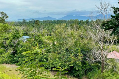Земельный участок в Самуи, Таиланд  № 135362 - фото 2