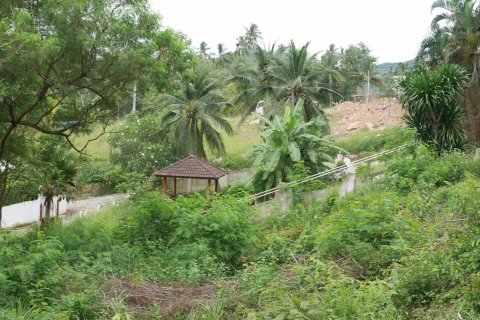 Земельный участок в Самуи, Таиланд  № 135362 - фото 5