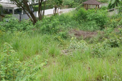 Земельный участок в Самуи, Таиланд  № 135362 - фото 7