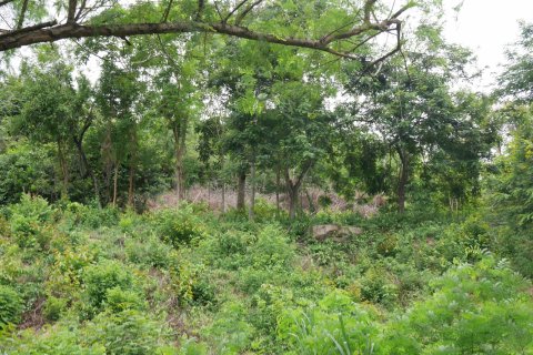 Земельный участок в Самуи, Таиланд  № 135362 - фото 3