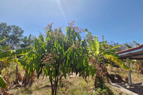 Земельный участок в Амнат Чароен, Таиланд 12864м2  № 140371 - фото 15