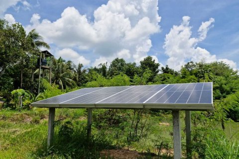 Земельный участок в Амнат Чароен, Таиланд 12864м2  № 140371 - фото 22