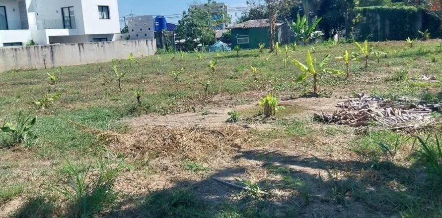 Земельный участок в Пхукете, Таиланд 1600м2  № 149199