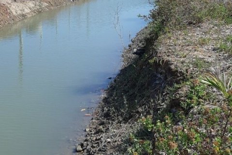 Terrain à Phuket, Thaïlande 34200 m2 № 149200 - photo 2