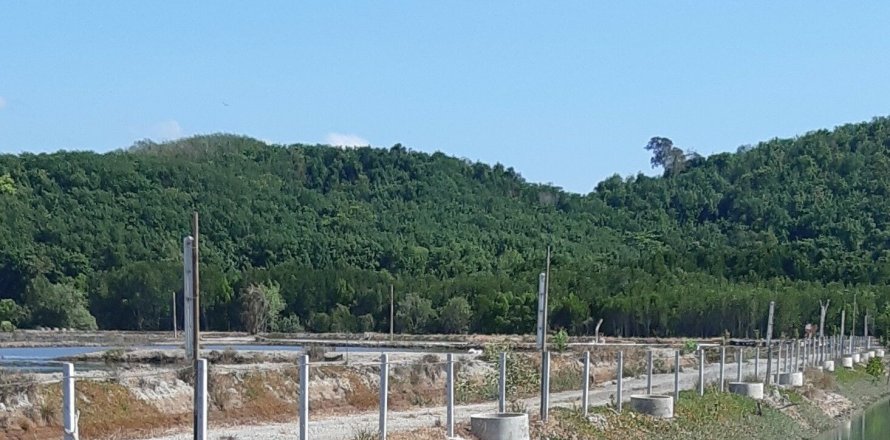 Terrain à Phuket, Thaïlande 34200 m2 № 149200