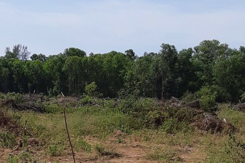 Terrain à Phuket, Thaïlande 34200 m2 № 149200 - photo 3