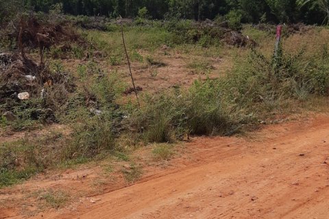 Terrain à Phuket, Thaïlande 34200 m2 № 149200 - photo 4