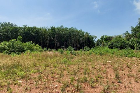 Land in Rayong, Thailand 3745 sq.m. № 149203 - photo 13