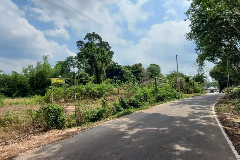 Land in Rayong, Thailand 3745 sq.m. № 149203 - photo 2