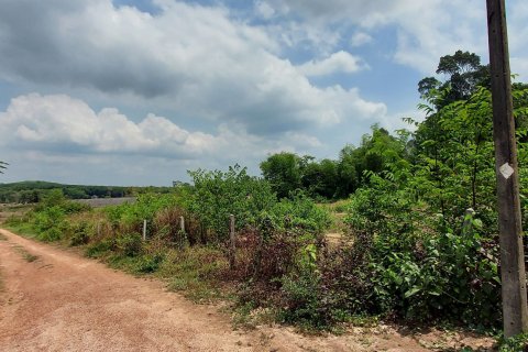 Land in Rayong, Thailand 3745 sq.m. № 149203 - photo 5