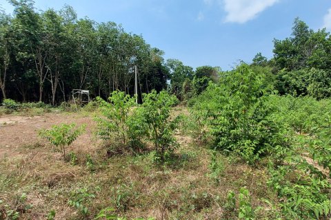 Land in Rayong, Thailand 3745 sq.m. № 149203 - photo 11