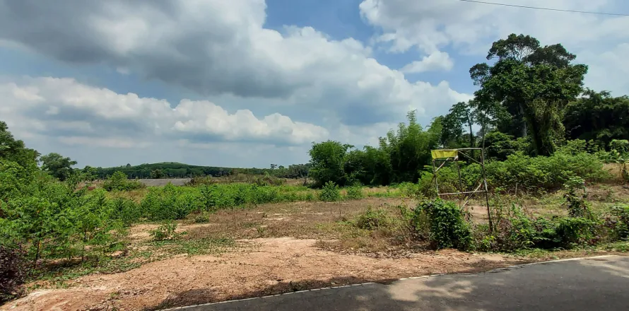 Land in Rayong, Thailand 3745 sq.m. № 149203