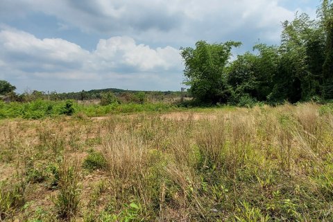 Land in Rayong, Thailand 3745 sq.m. № 149203 - photo 9