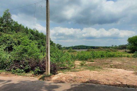 Land in Rayong, Thailand 3745 sq.m. № 149203 - photo 4