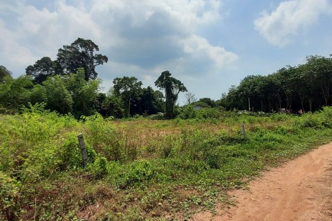 Land in Rayong, Thailand 3745 sq.m. № 149203 - photo 14