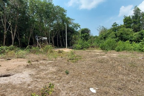 Land in Rayong, Thailand 3745 sq.m. № 149203 - photo 7